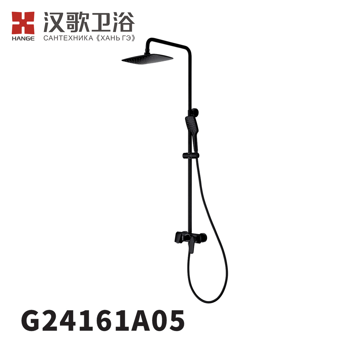 G24161